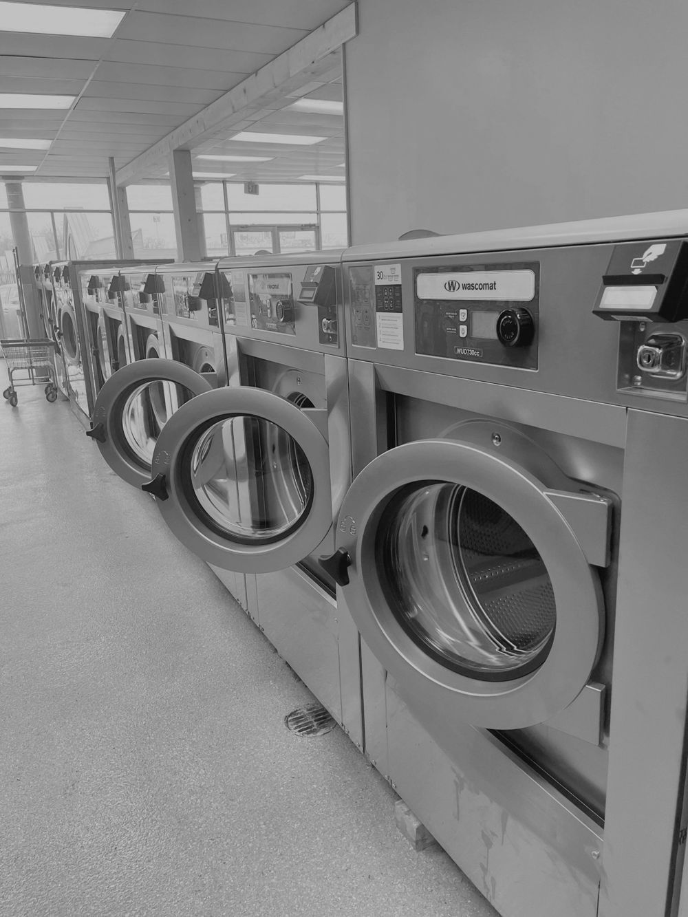 Row of high-spin Wascomat washers with doors open